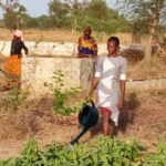 Maraichage Darou Ndimb
