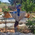 Maraichage Keur Potié