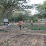 Maraîchage Jardin faune flore Ndem