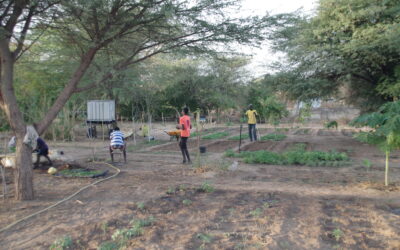 Rapport du jardin faune Flore