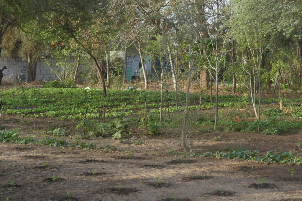 Jardin faune flore Ndem