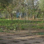 Jardin faune flore Ndem