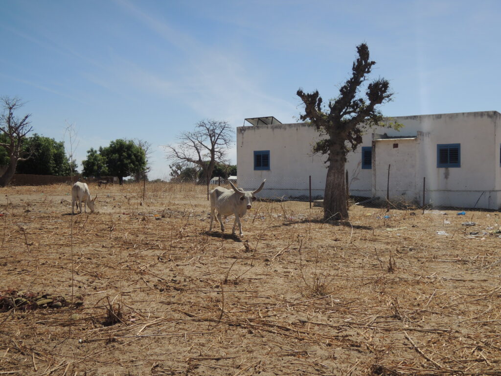 Case de santé Darou Ndimb 2