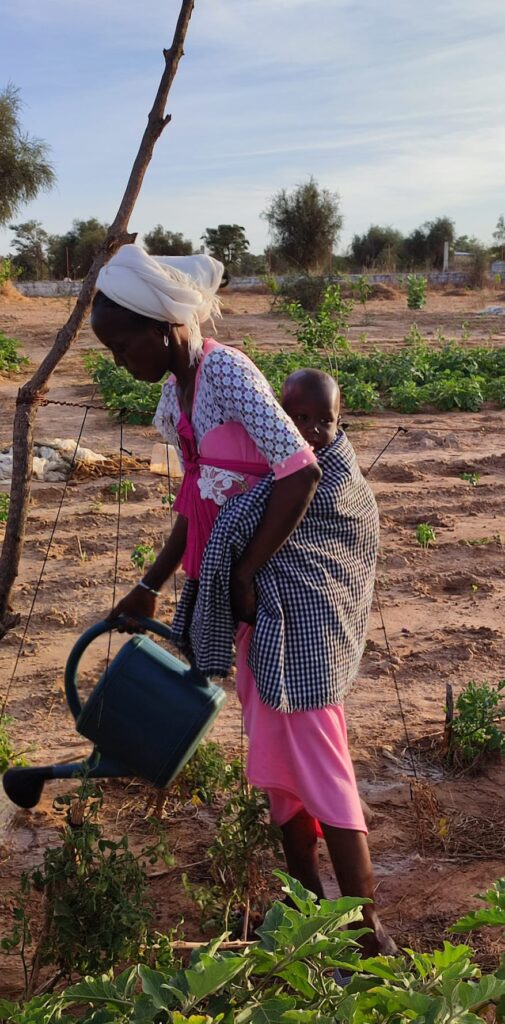 Centre artisanal de Darou ndimb