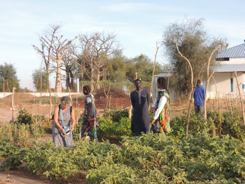 agroécologie Darou Ndimb