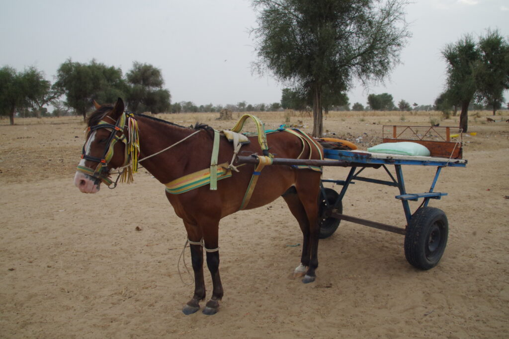 Centre artisanal de Darou ndimb