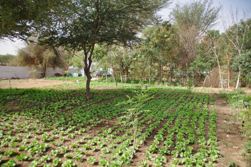 Jardin Faune Flore