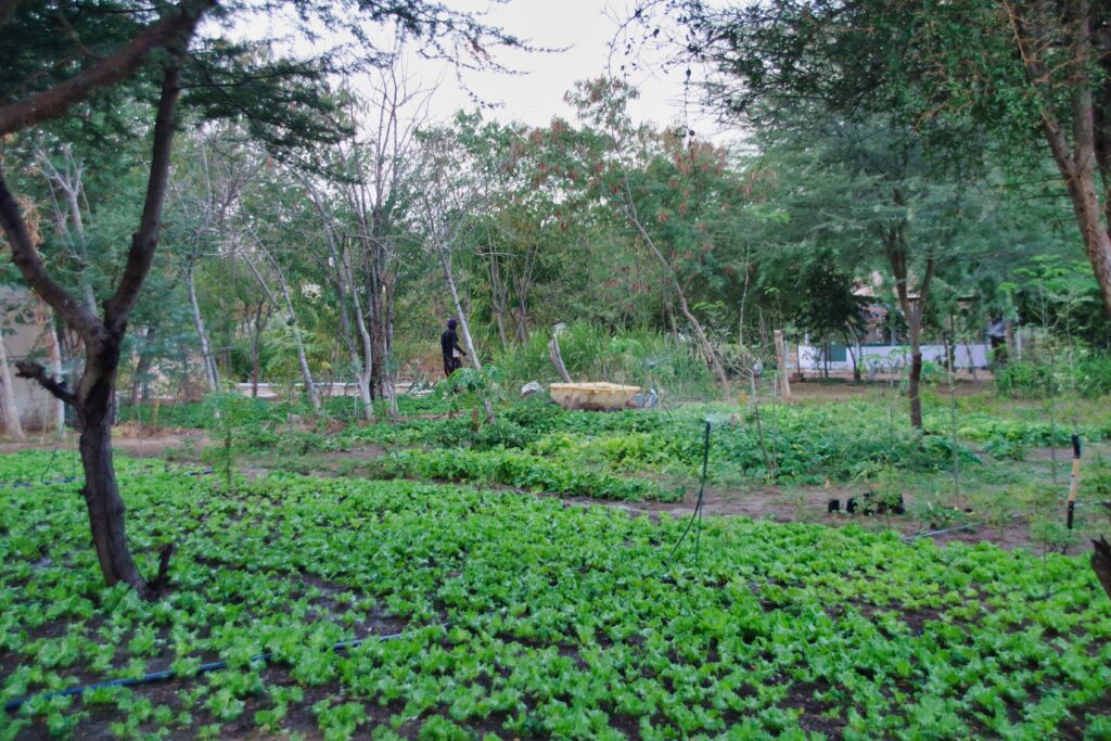 Jardin Faune Flore
