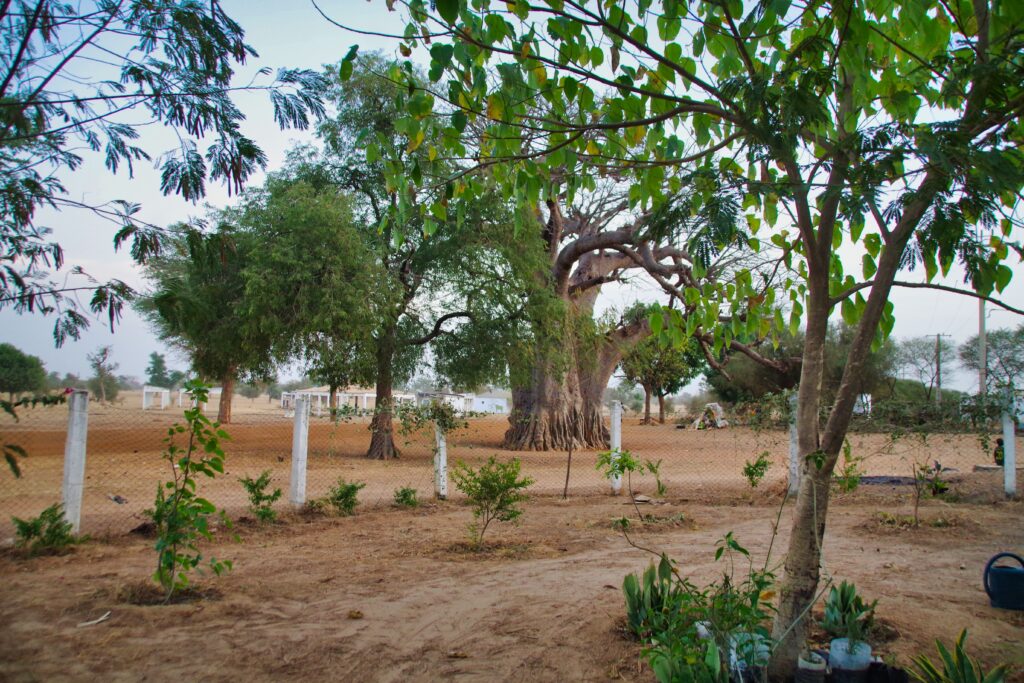 Jardin Faune Flore