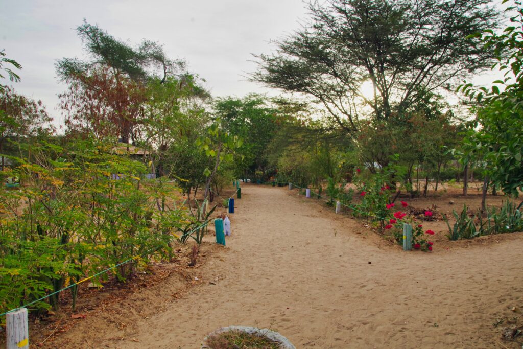 Jardin Faune Flore