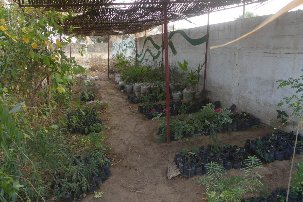 Jardin Faune Flore