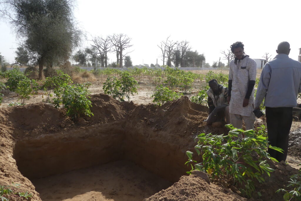 agroécologie Darou Ndimb