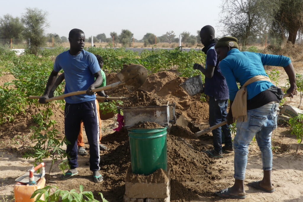 agroécologie Darou Ndimb