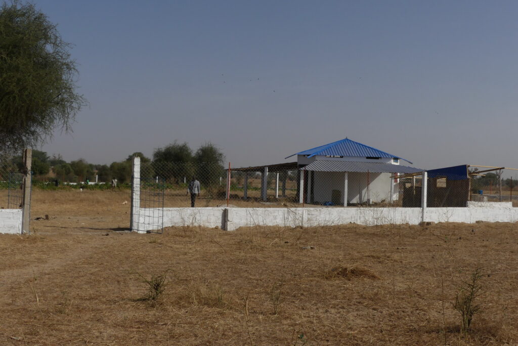 agroécologie Darou Ndimb