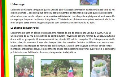 Lettre d’information n°39
