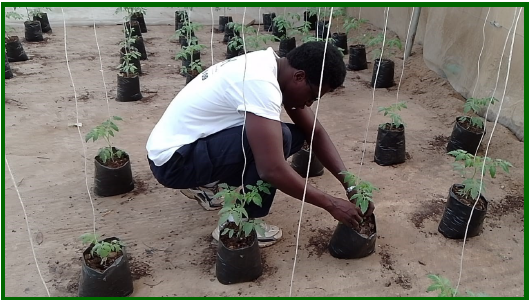Mor dans son école, le centre de formation professionnelle horticole de Cambérène à Dakar