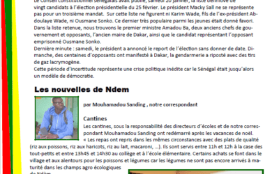 Lettre d’information N°41